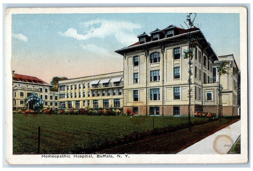 1916 Homeopathic Hospital Exterior Building Field Buffalo New York NY Postcard