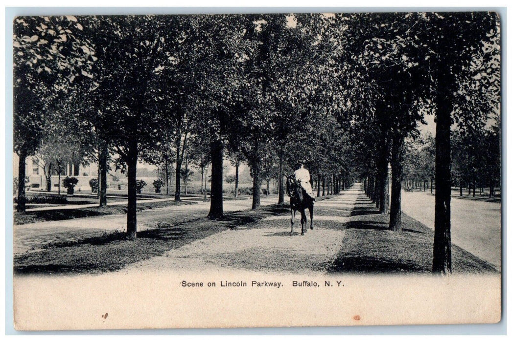1907 Scene Lincoln Parkway Pathway Horse Road Street Buffalo New York Postcard