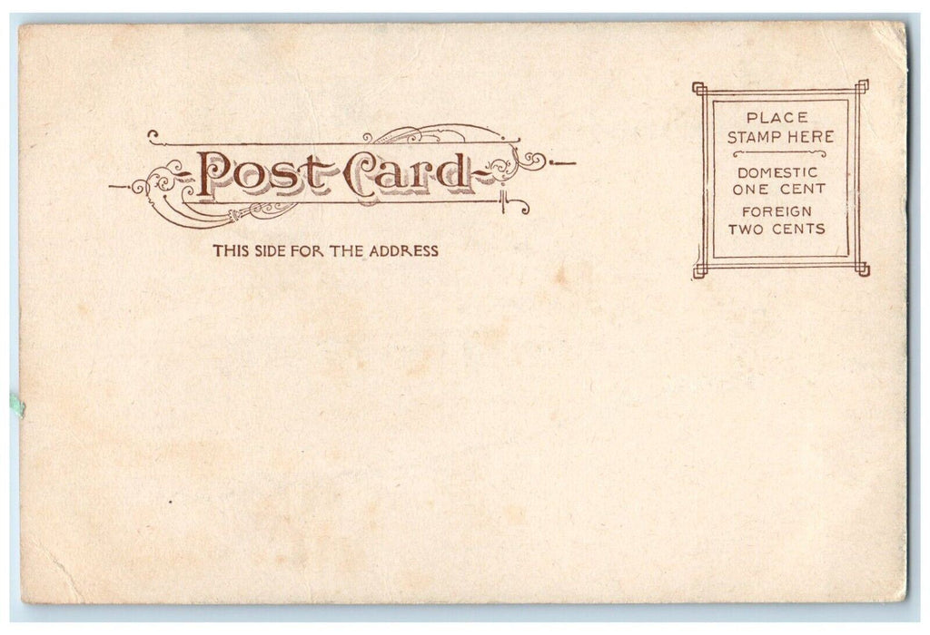c1905 Lower State Street Stores Schenectady New York NY Antique Postcard