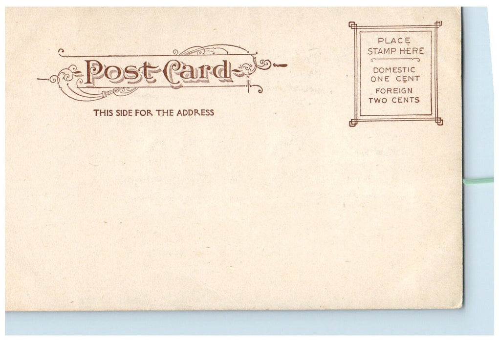 c1905 Public Library Building Bicycle Schenectady New York NY Glitter Postcard