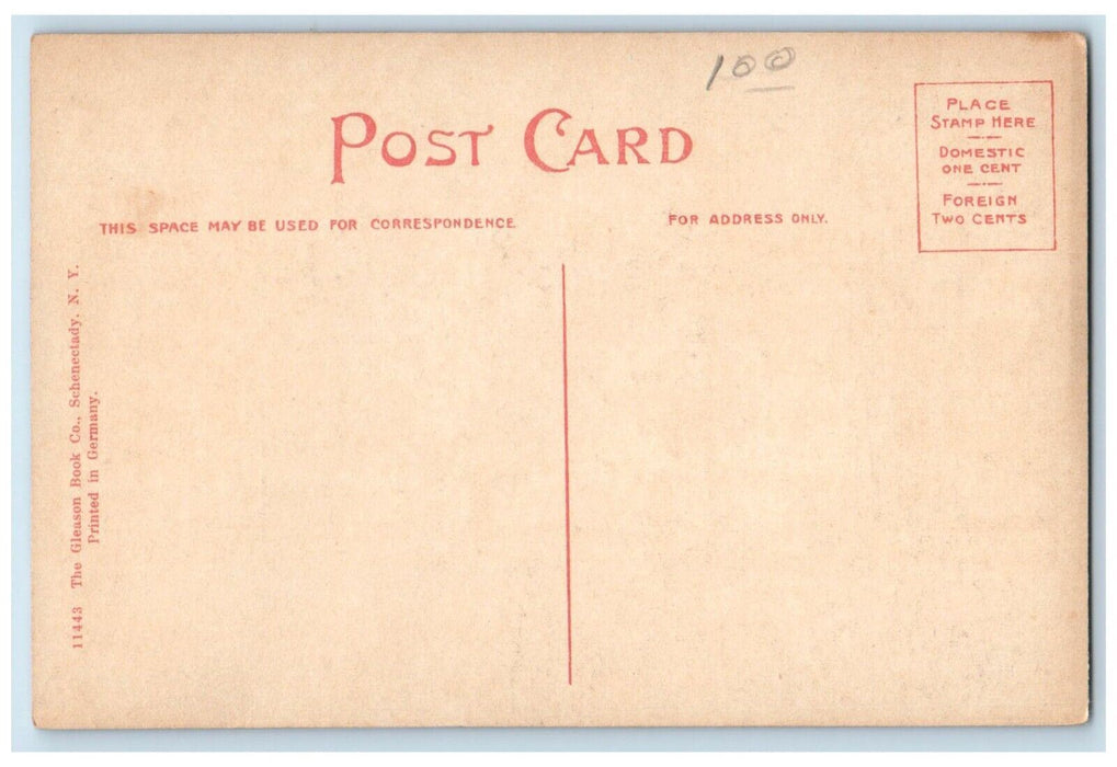 c1910's Entrance Union College Schenectady New York NY Unposted Antique Postcard