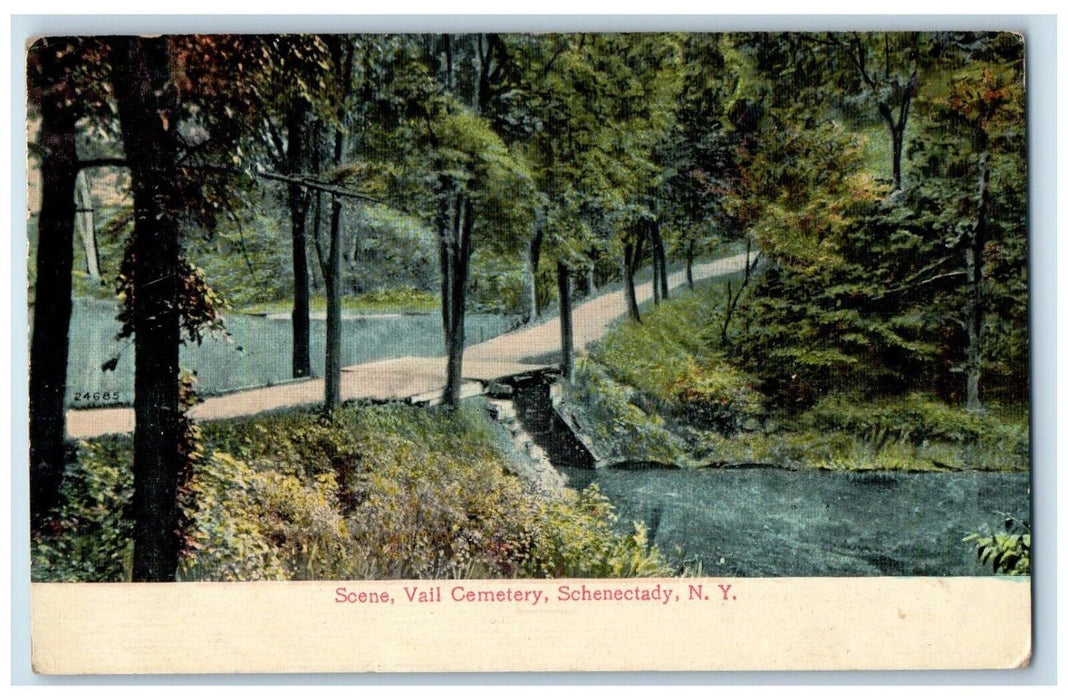 1911 Scene Vail Cemetery River Scene Schenectady New York NY Antique Postcard
