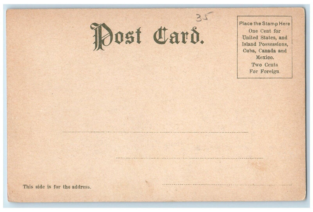 c1905 Union College Building Schenectady New York NY Unposted Antique Postcard