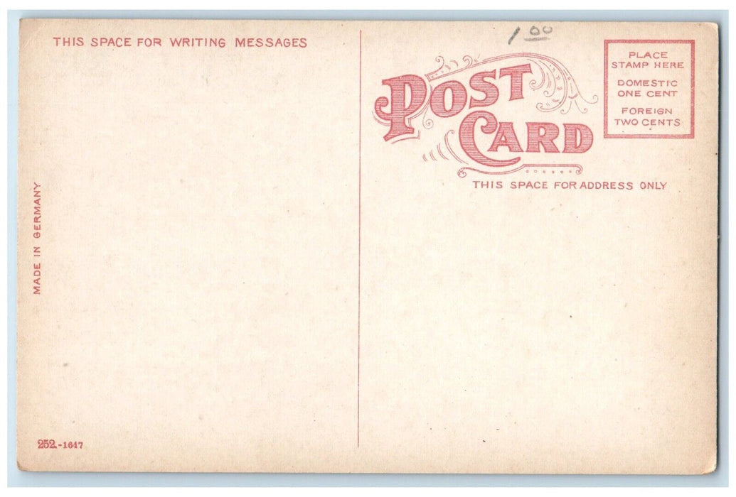 c1905 Old Ladies Home Schenectady New York NY Unposted Antique Postcard