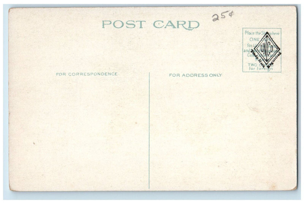 c1920's Moonlight at Lafayette Square Buffalo New York NY Unposted Postcard