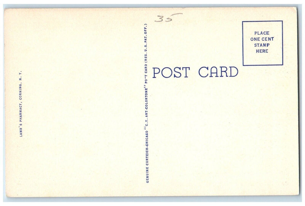 c1940 Crystal City View Narrows Chemung River Spencer Corning New York Postcard