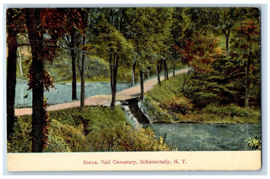 c1910's Scene Vail Cemetery Schenectady New York NY, Road Trees River Postcard