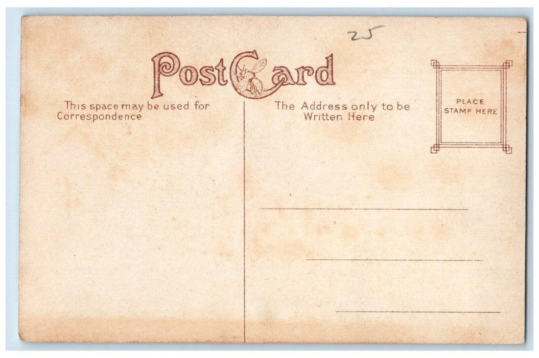 c1910's Scene Vail Cemetery Schenectady New York NY, Road Trees River Postcard