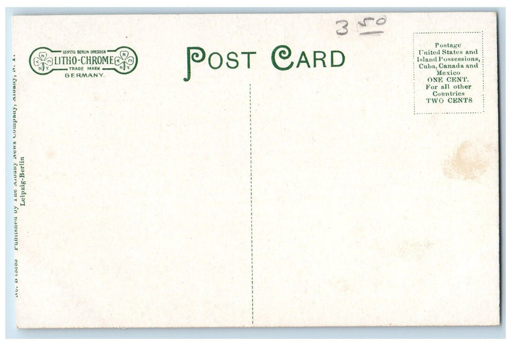 c1910's State St. In Holiday Attire Baseball Island Park Schenectady NY Postcard