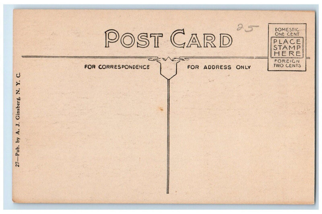 c1910's Upper Saranac Lake In The Adirondack Mountains New York NY Postcard