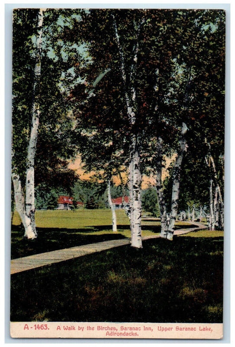 c1910's Birches Saranac Inn Upper Saranac Lake Adirondacks New York NY Postcard
