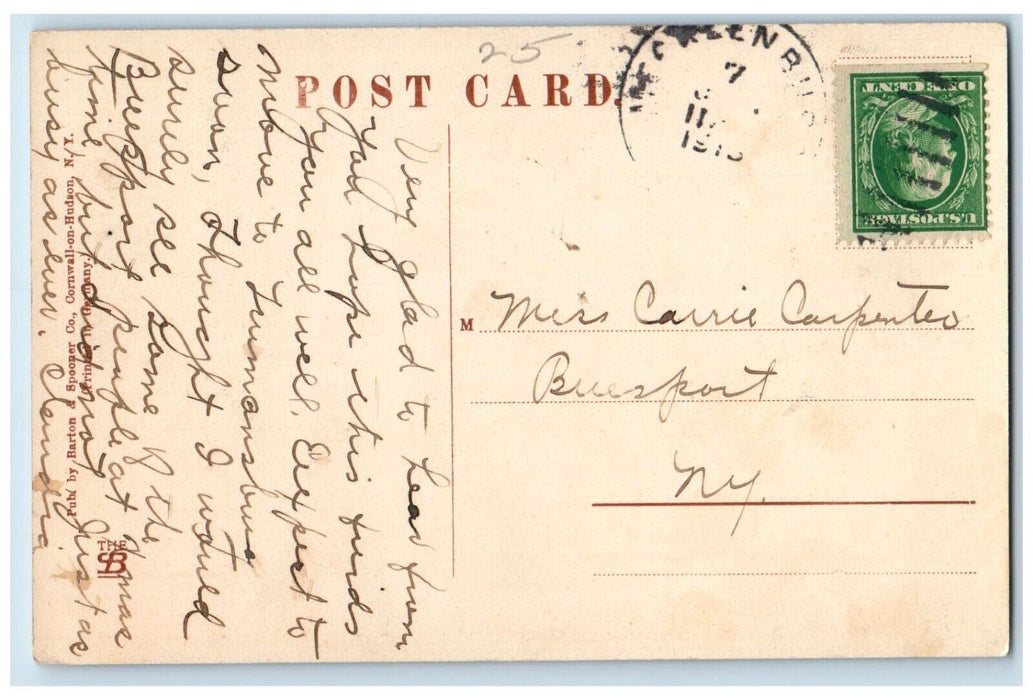 c1910's Birches Saranac Inn Upper Saranac Lake Adirondacks New York NY Postcard