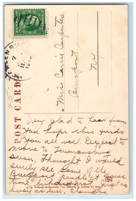 c1910's Birches Saranac Inn Upper Saranac Lake Adirondacks New York NY Postcard