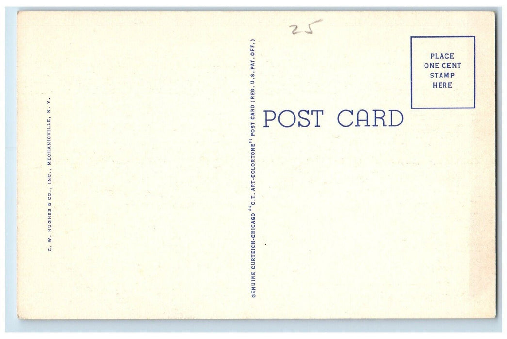 Prescott Park Lake Flower Saranac Lake Scarface Mt. Adirondack Mts. NY Postcard