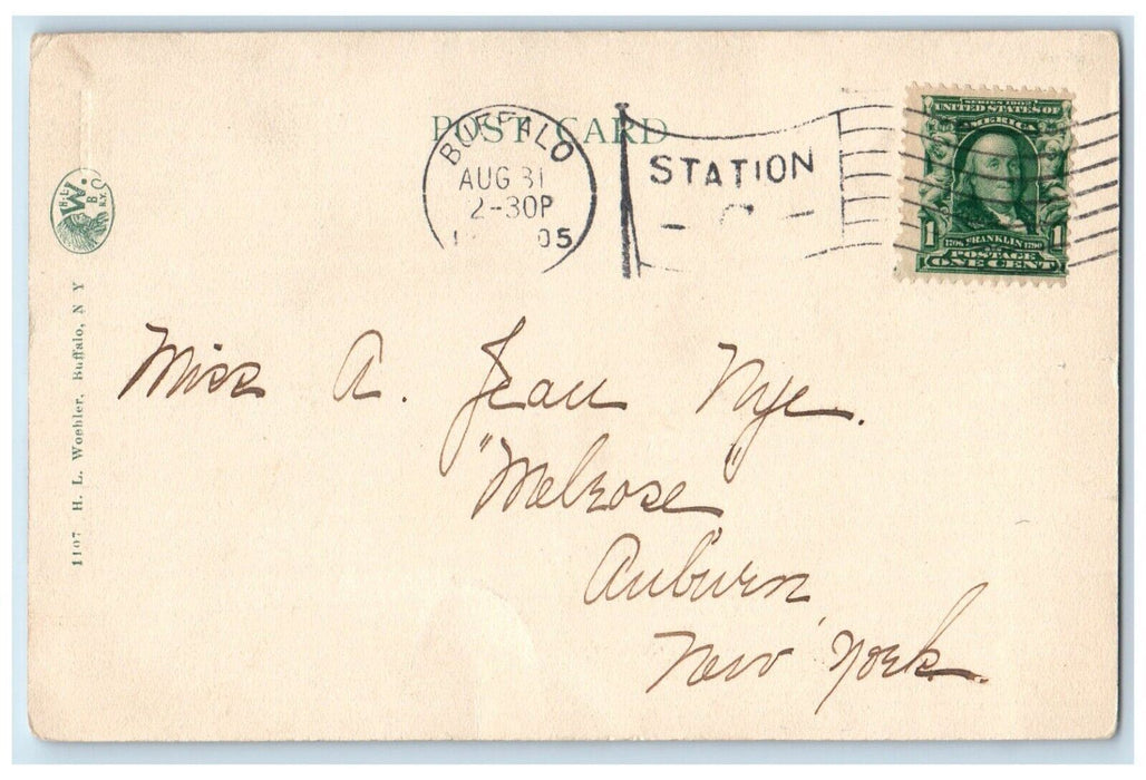 1905 Summer Street Buffalo New York NY Antique Posted HL Woehler Postcard