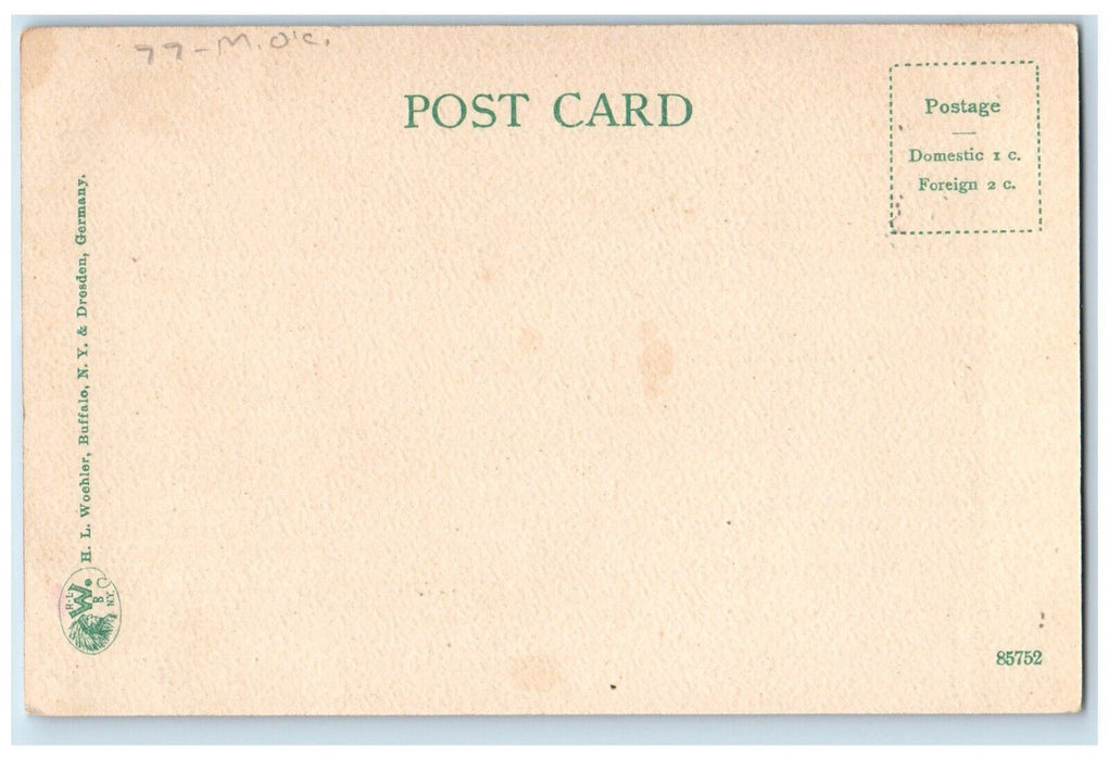 c1905 Trolley Car Bike Horse Carriage Main Street Buffalo New York NY Postcard