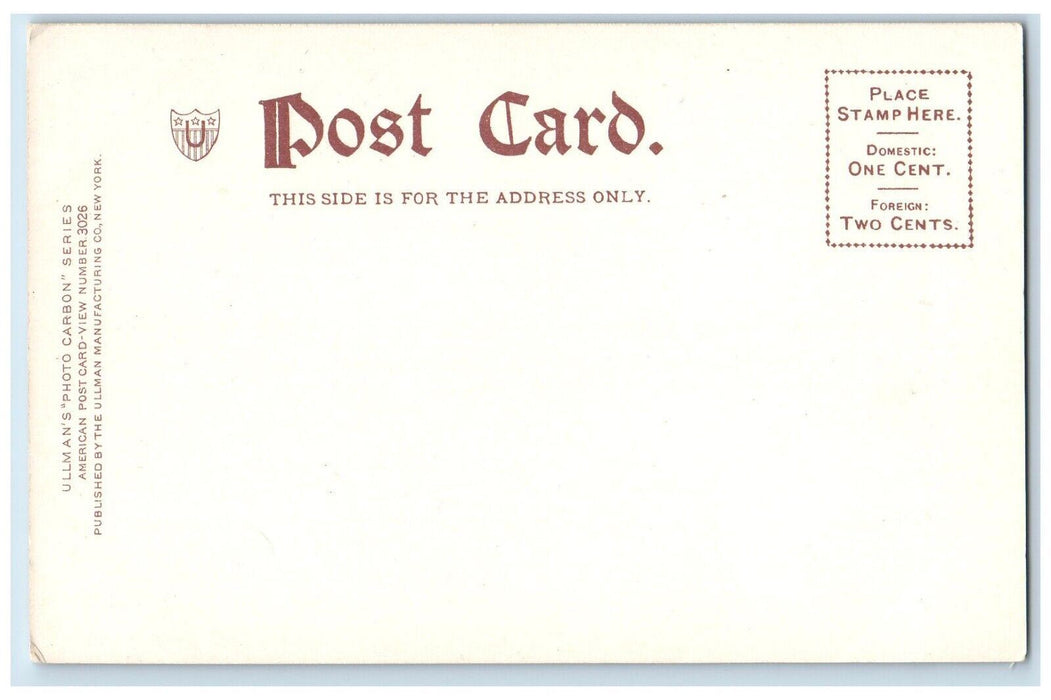 c1905 Delaware & North Street Buffalo New York NY Unposted Photo Carbon Postcard
