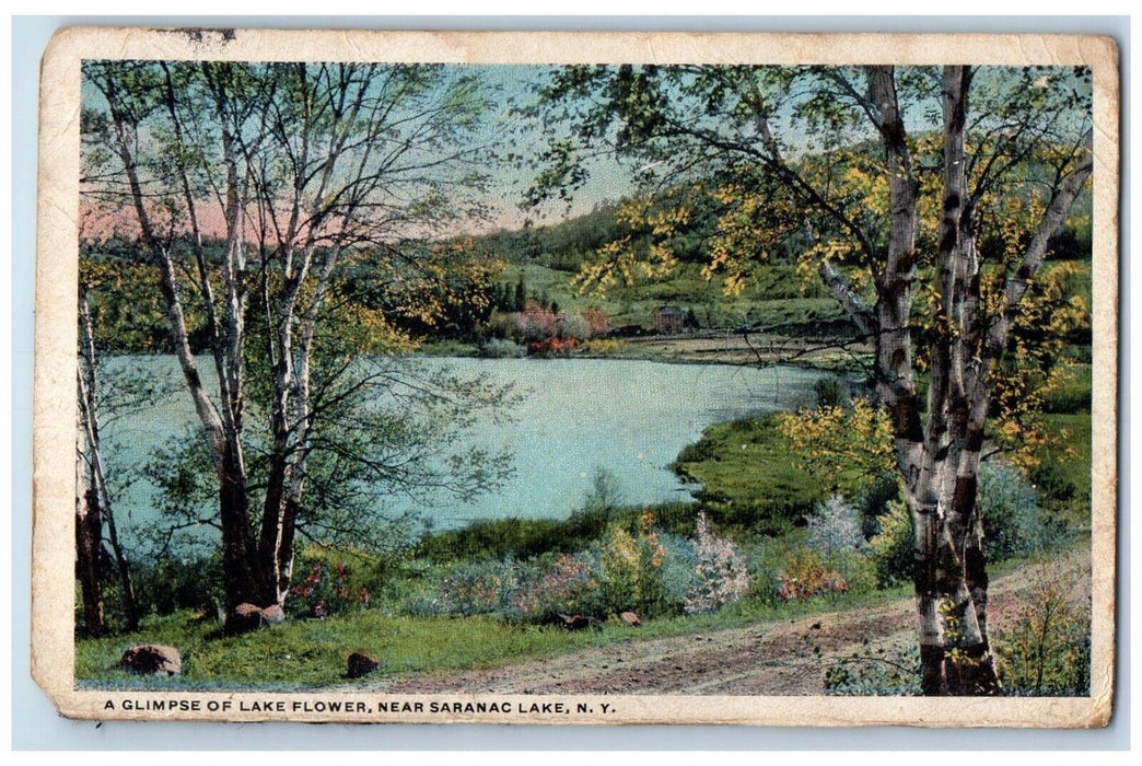 c1910's A Glimpse Of Lake Flower Near Saranac Lake New York NY Antique Postcard