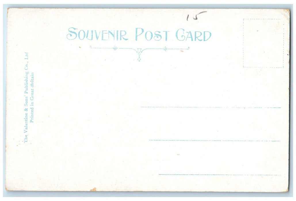 c1905 Saranac River Near The Village Saranac Lake New York NY Antique Postcard