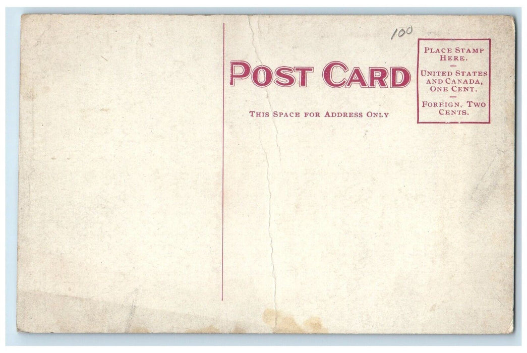 c1910 Savoy Theatre Dentist Williams Street Looking East Buffalo NY Postcard