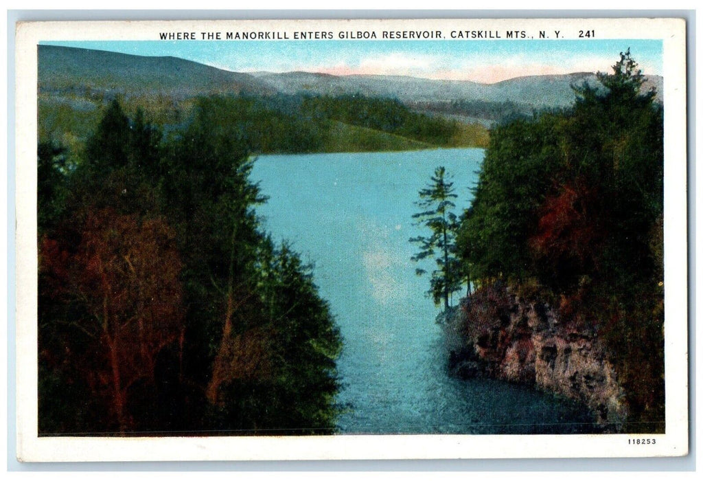 c1920's The Manorkill Enters Gilboa Reservoir Catskill Mountains NY Postcard