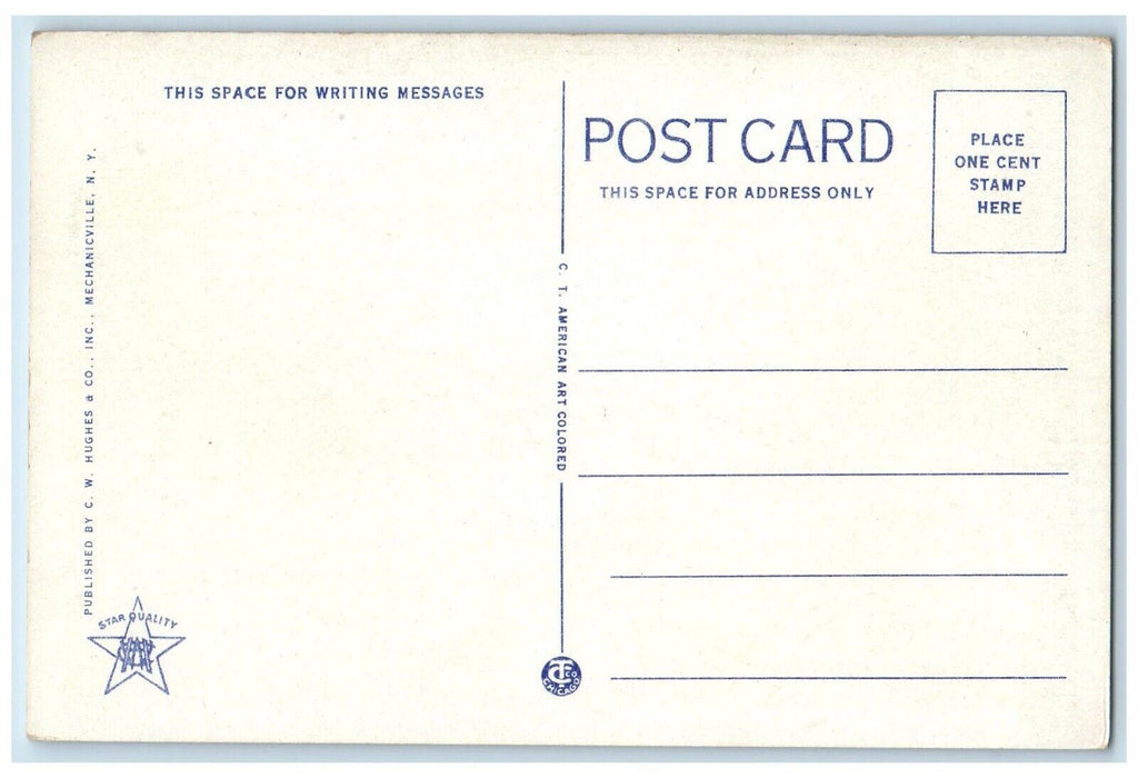 c1920's The Manorkill Enters Gilboa Reservoir Catskill Mountains NY Postcard
