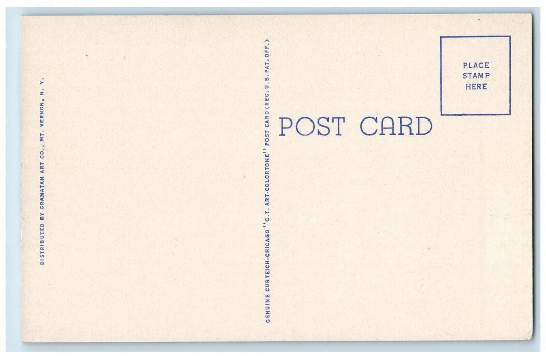 c1950's IGA Super Market Pharmacy Main Street Carmel New York NY Postcard