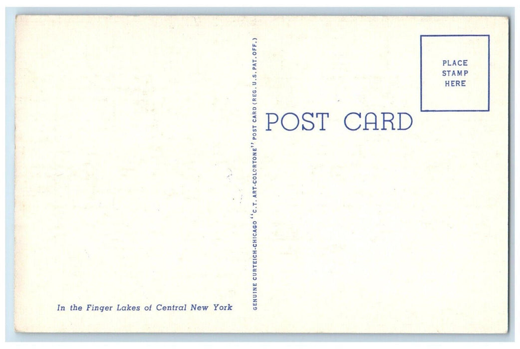 c1950's Air View of Roseland Park On Canandaigua Lake New York NY Postcard
