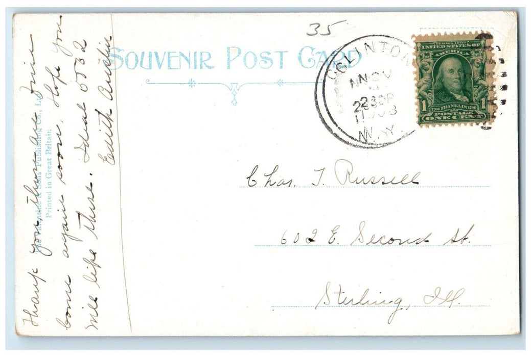 1908 View Of Riverside Inn From River Saranac Lake New York NY Antique Postcard