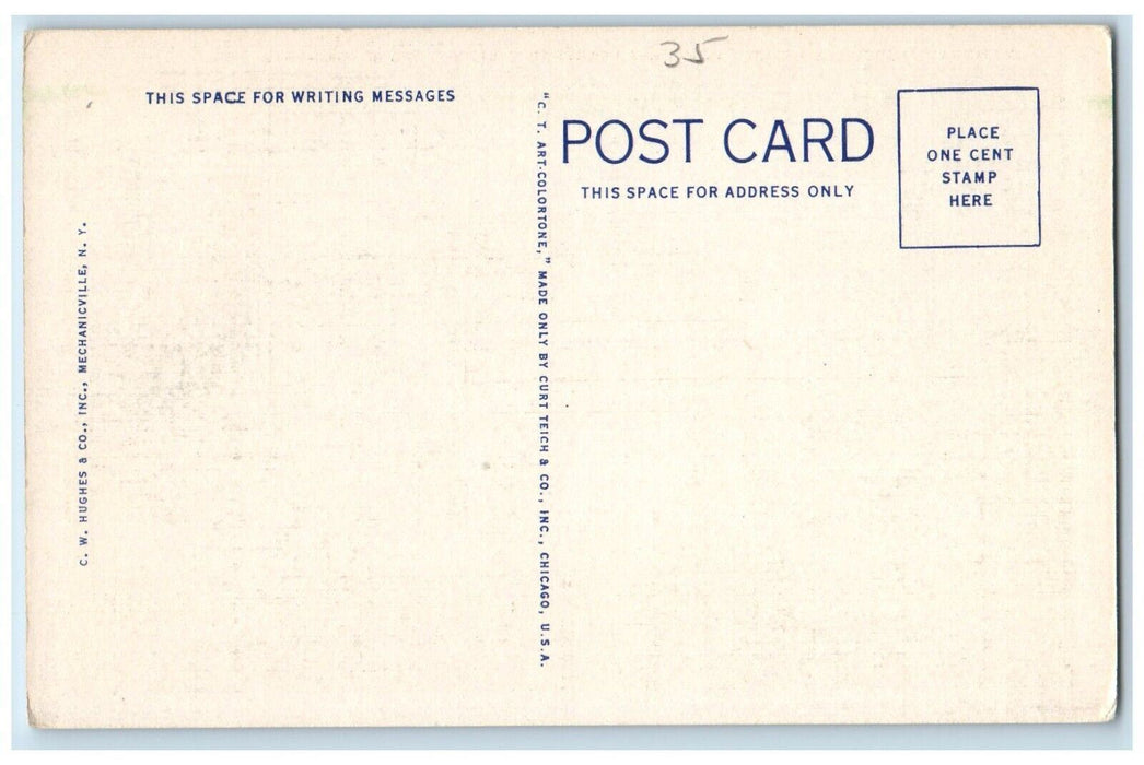 National Vaudeville Artists Home Saranac Lake NY, Adirondacks MTS. Postcard
