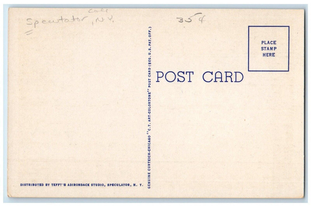 c1930's Sacandaga Lake From Moffet Beach Public Camp Site Speculator NY Postcard