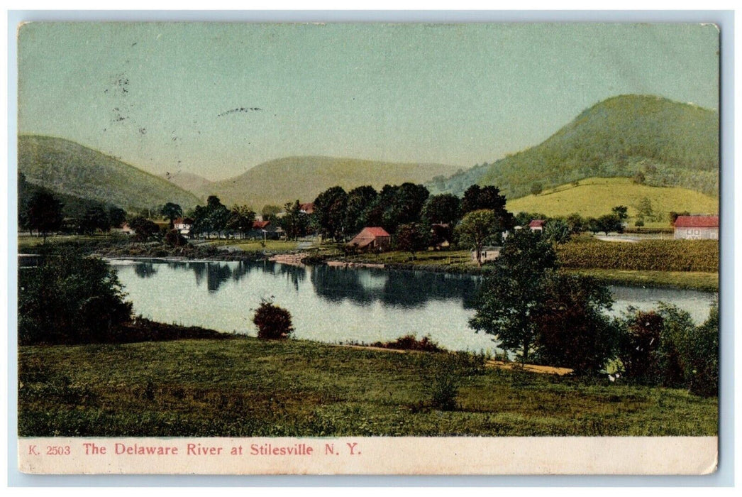 1908 The Delaware River At Stilesville Deposit New York NY Antique Postcard