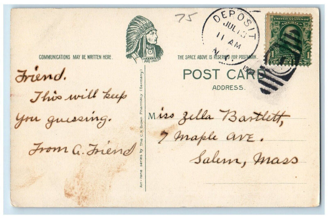 1908 The Delaware River At Stilesville Deposit New York NY Antique Postcard