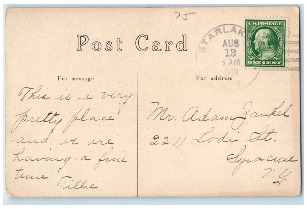 c1910's Looking Down Postoffice Bay Star Lake New York NY Antique Postcard