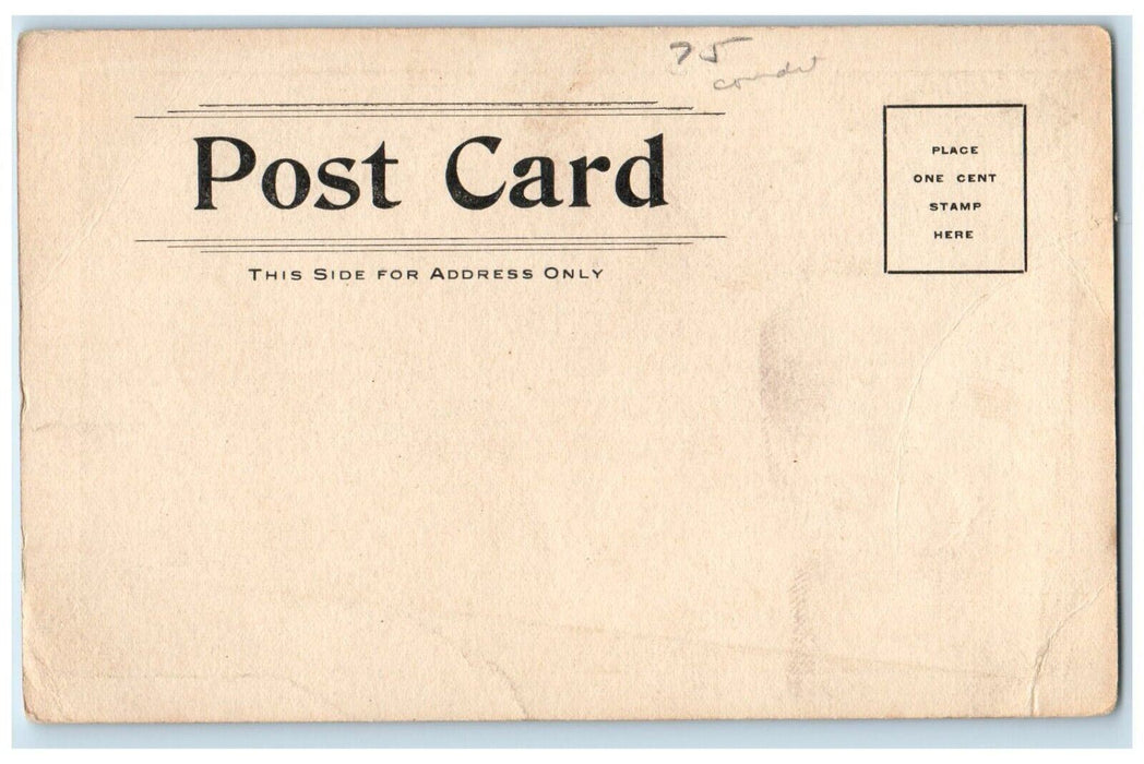 c1905 View Of Threrre's Hotel Building South Bay New York NY Antique Postcard