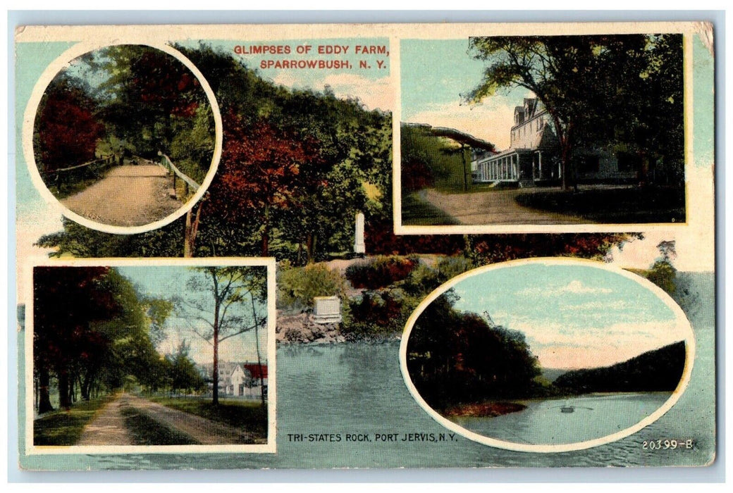 1913 Glimpse Of Eddy Farm Sparrowbush New York NY Posted Antique Postcard