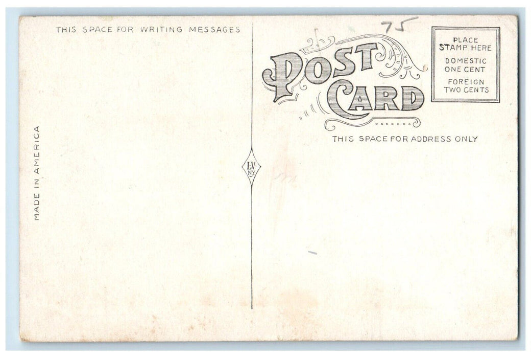 c1910's Viewing Lake Ontario From Silmont New York NY Antique Postcard