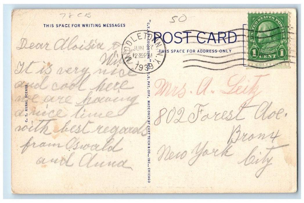 1939 Scenes Near Slate Hill New York NY, River Blossom Tree Antique Postcard