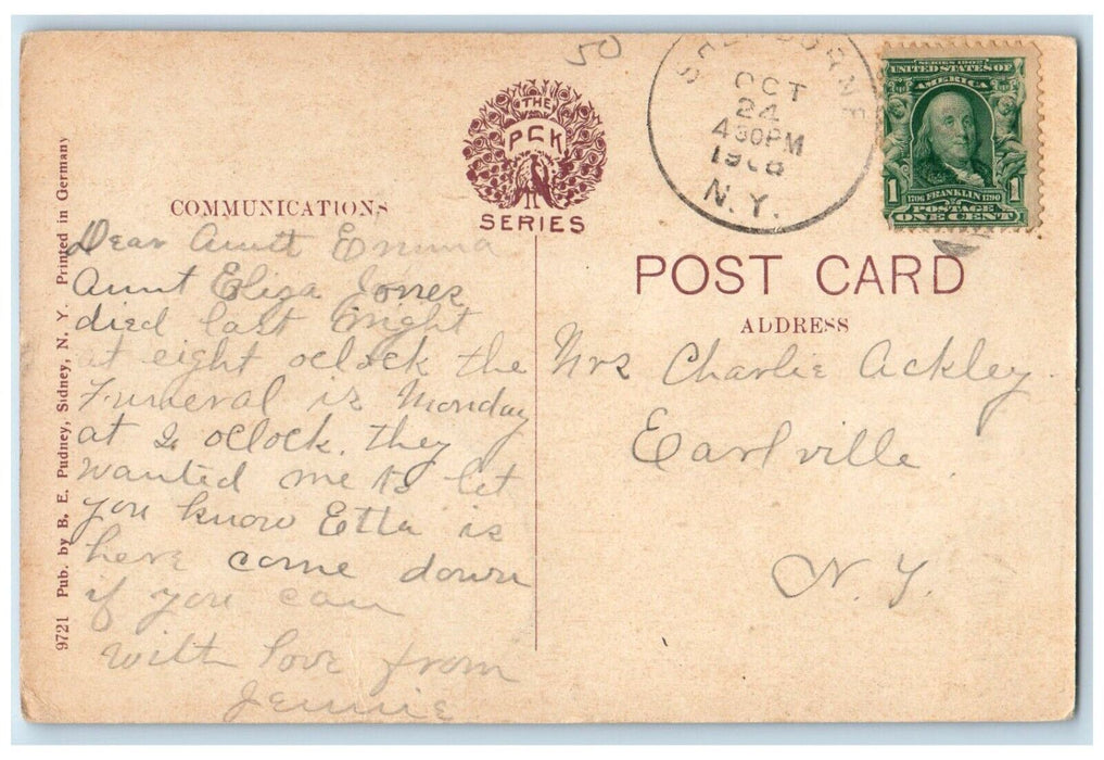c1910's Rexford Falls Waterfall Hanging Bridge Sherburne New York NY Postcard