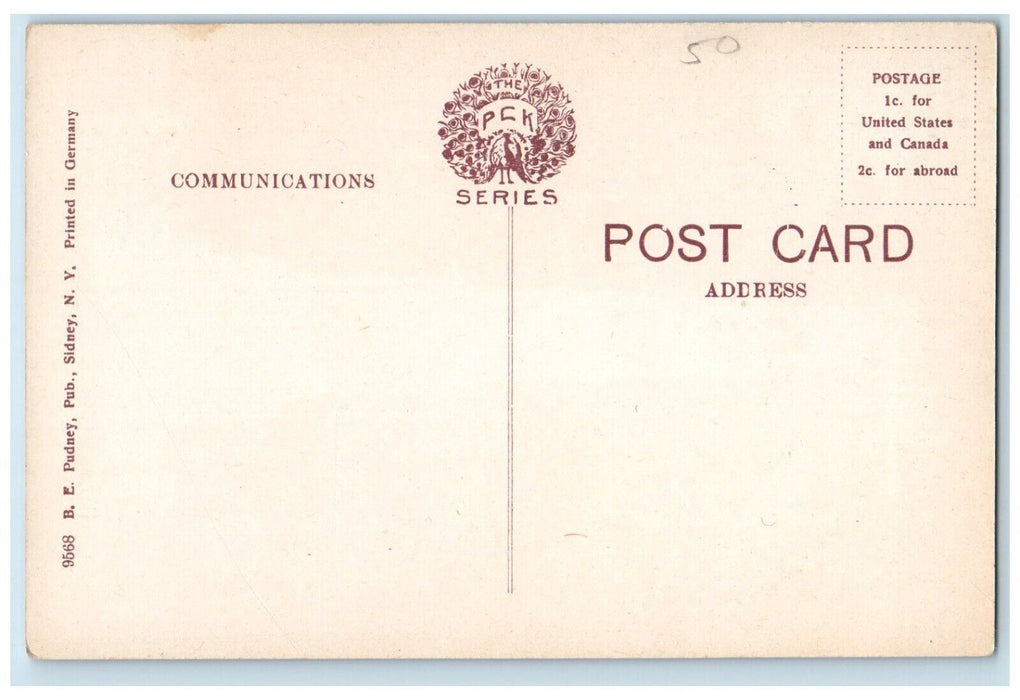 c1910's View Of Soldiers Monument Sherburne New York NY Antique Postcard