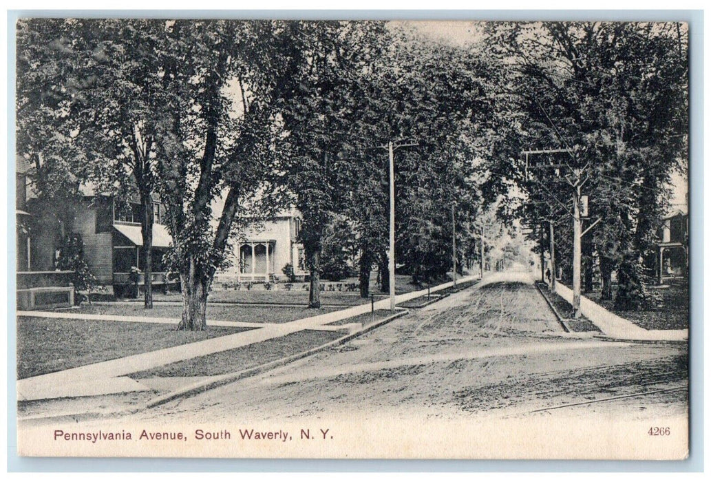 c1905 Pennsylvania Avenue Dirt Road South Waverly New York NY Antique Postcard