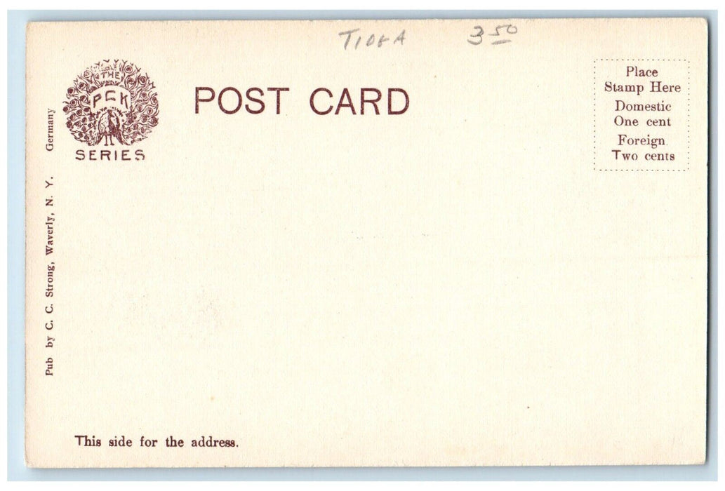c1905 Pennsylvania Avenue Dirt Road South Waverly New York NY Antique Postcard