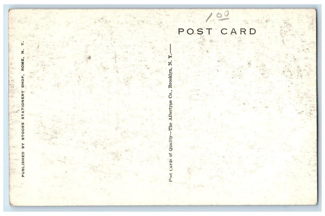c1930's View Of Camp Alice Flag Newton New York NY Unposted Posted Postcard