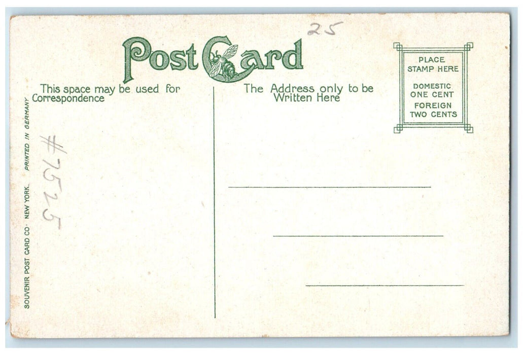 c1910's View Of Tri-State Rock Port Jervis New York NY Unposted Antique Postcard