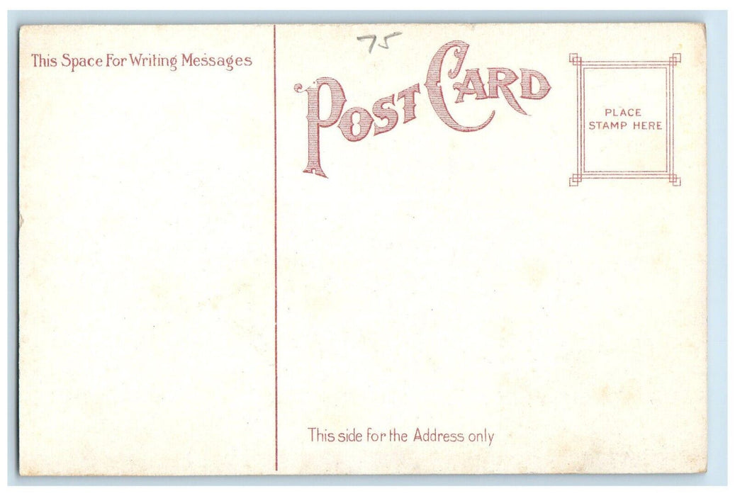 c1910's Deer Park Club Port Jervis New York NY Unposted Antique Postcard