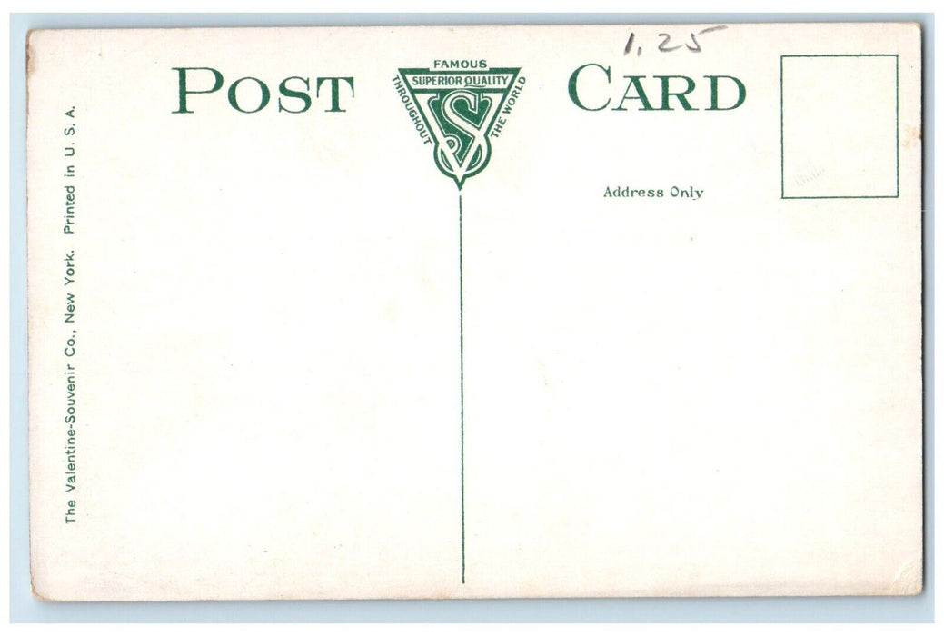c1910's Officer's Row U.S. Barracks Dirt Road Plattsburg New York NY Postcard
