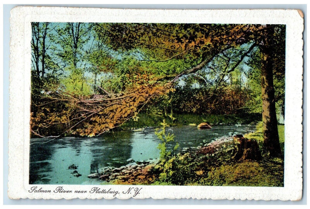 1916 View Of Salmon River Near Plattsburg New York NY Posted Antique Postcard