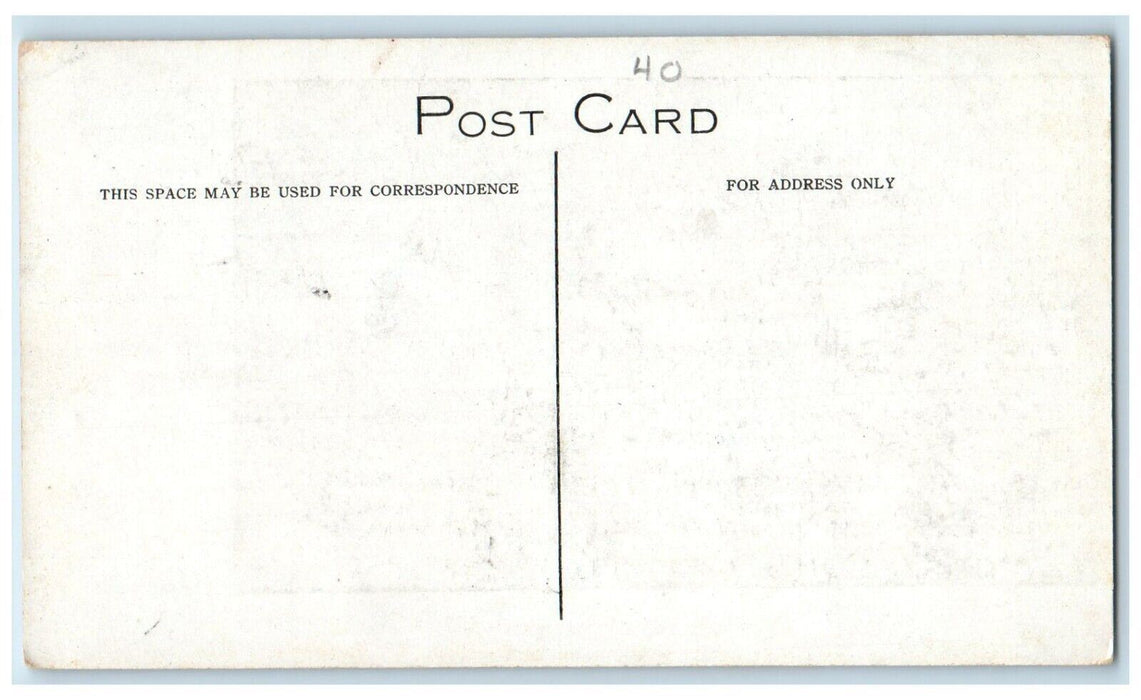 c1910's Kent Delord House Garden In Summer Red Shed Rear Plattsburg NY Postcard