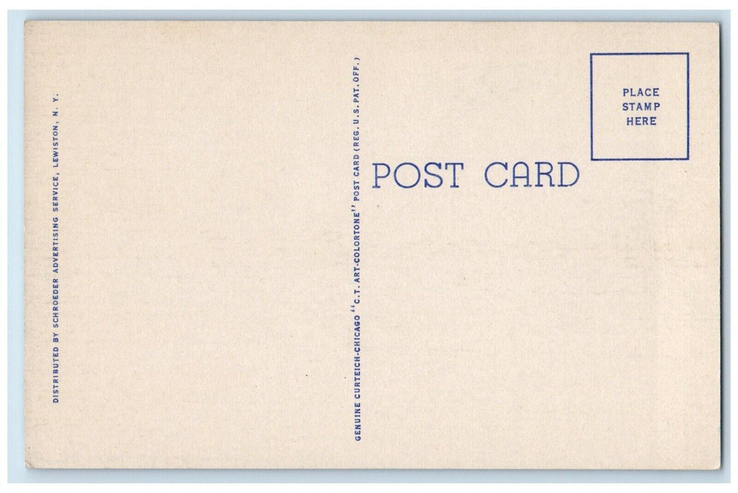 c1950's Anna III River Cruise Boat Making Trips on the Niagara River NY Postcard