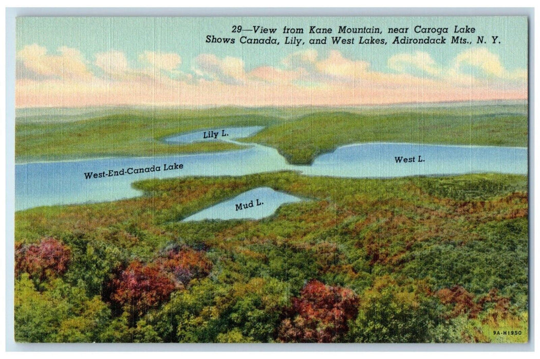 c1950's View from Kane Mountain Canada Lily Lakes Adirondack Mts. NY Postcard